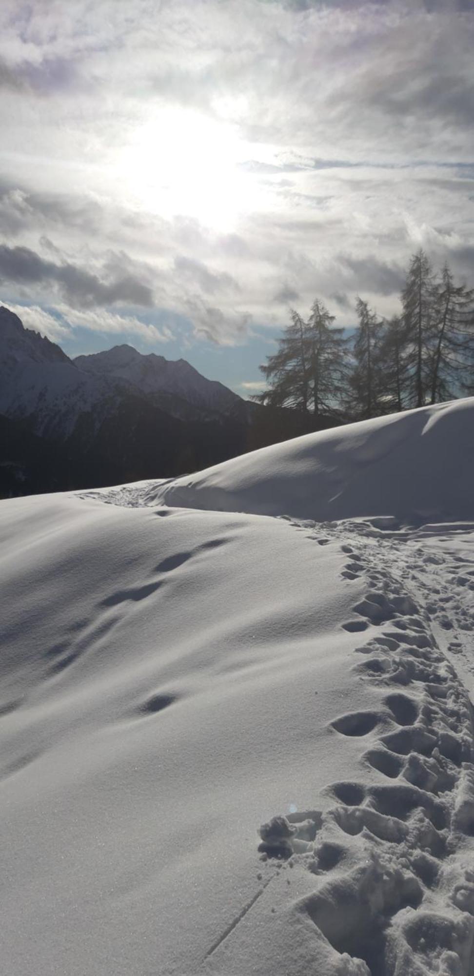 Agriturismo Belotti Temù المظهر الخارجي الصورة